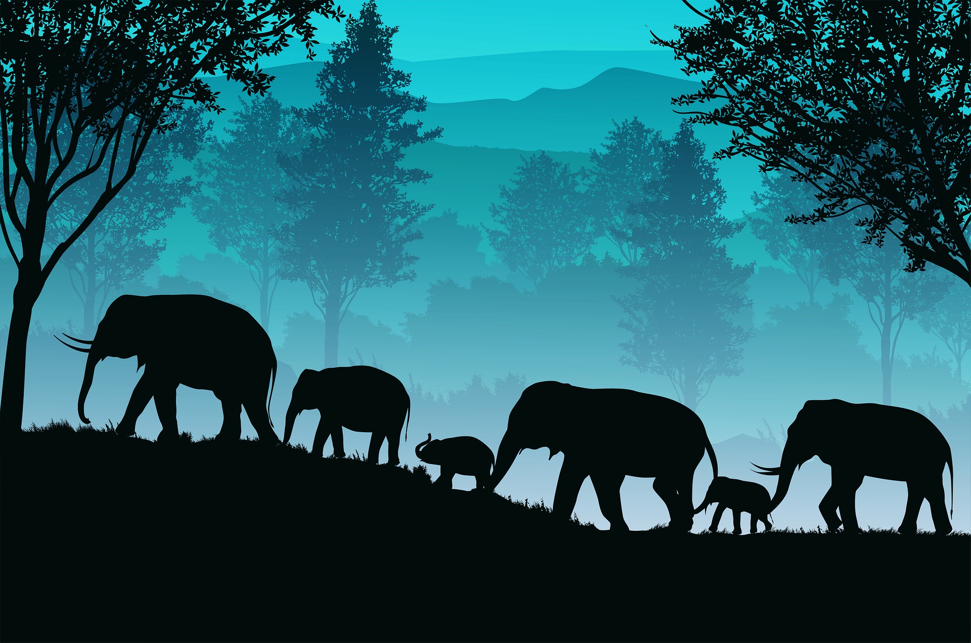 background